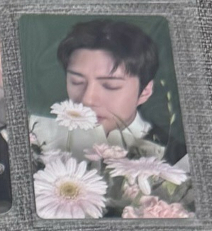 吳世勳 SMINI 專卡（含專