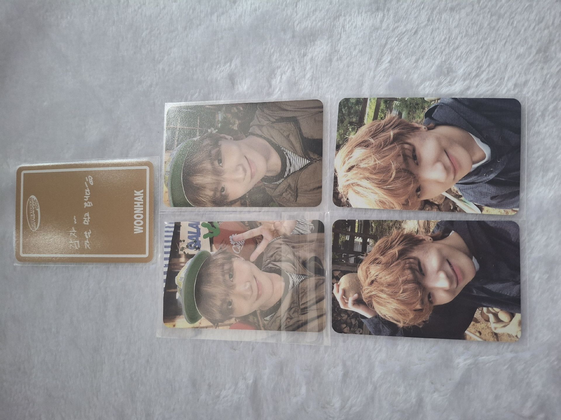 雲鶴 年曆一套（不拆）