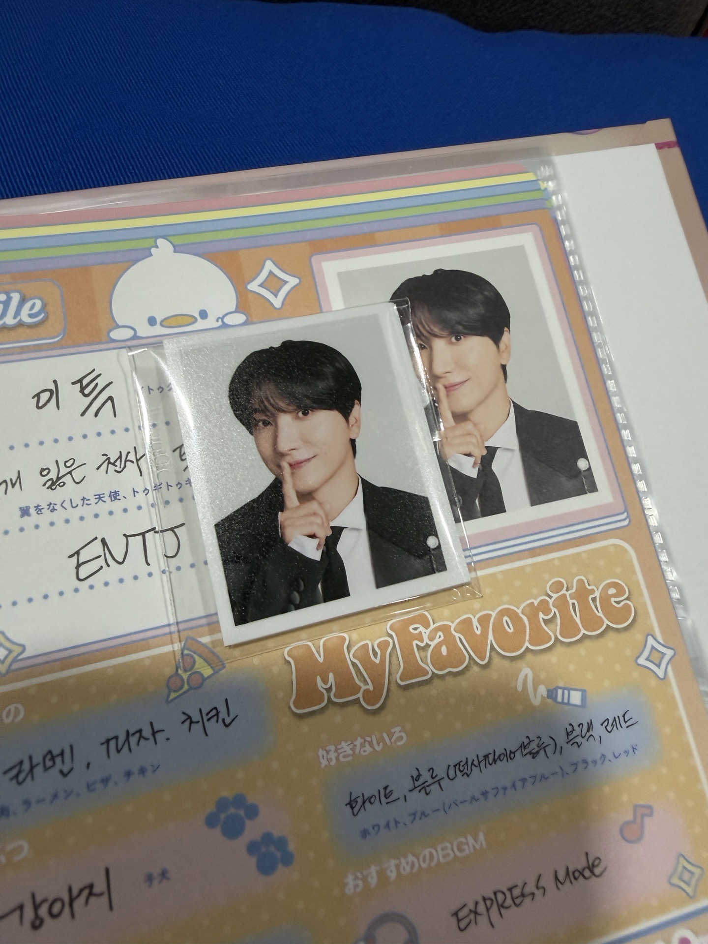 SS10 日週 20週年成員資料手帳/紀念冊