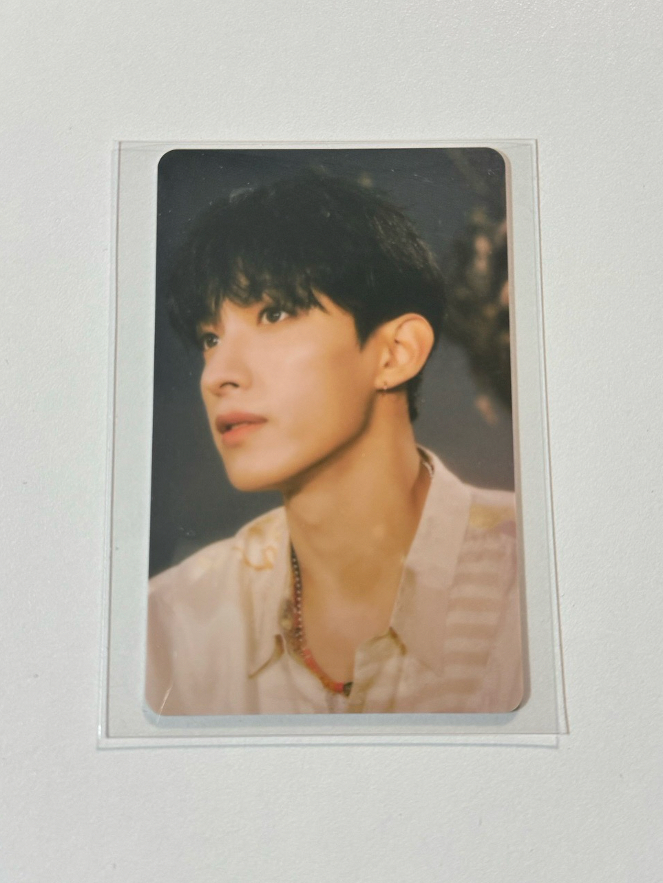 正四 專輯卡 wvs電子專