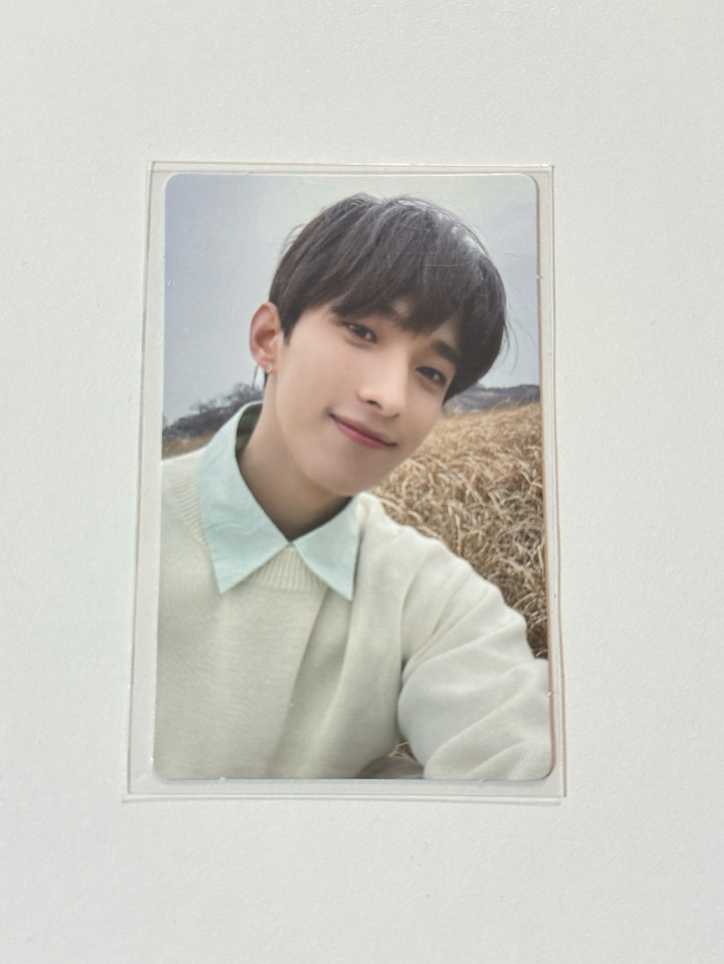 碩 正四 專輯卡 wvs電子專