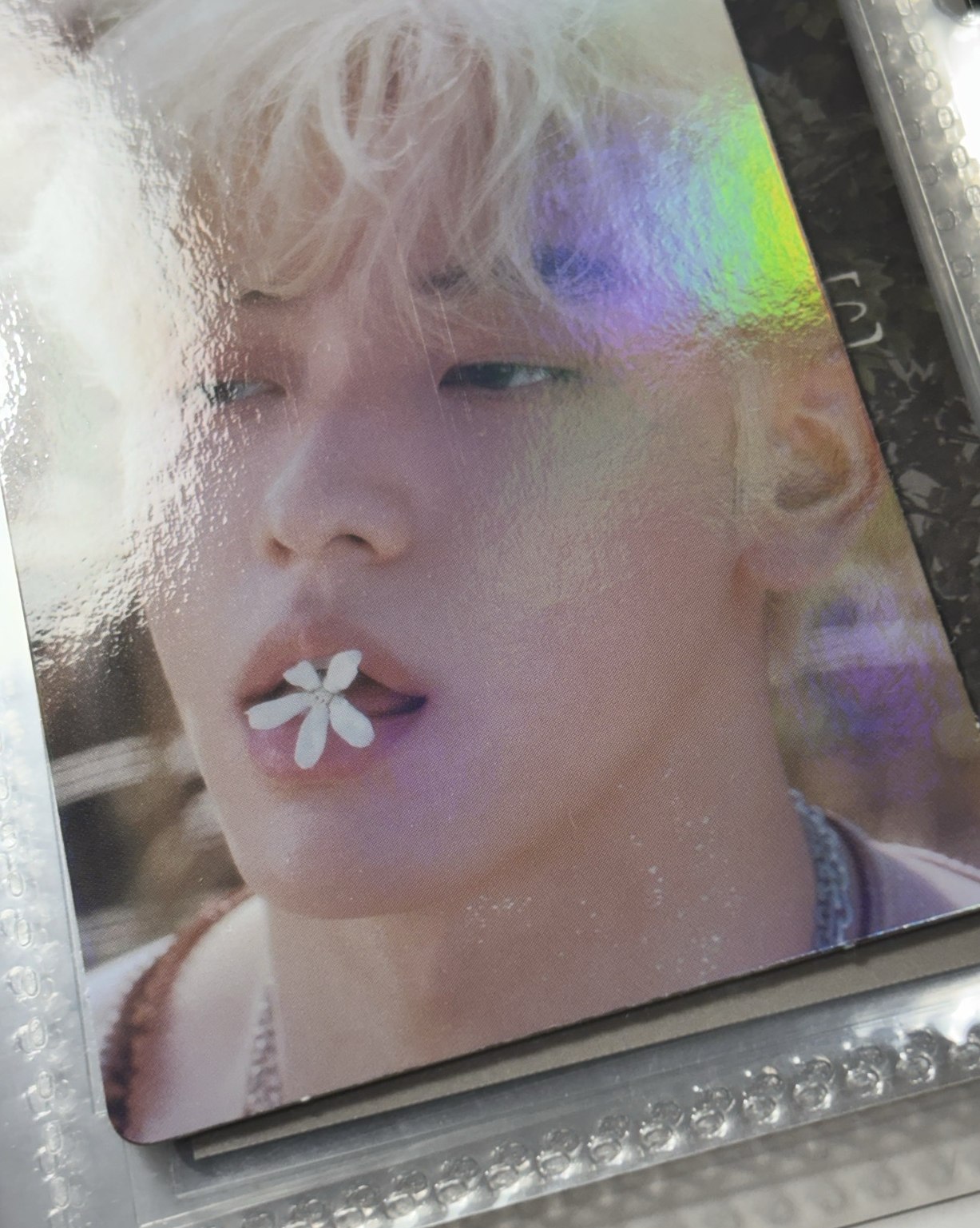 迷五 wvs PB版 特典卡 