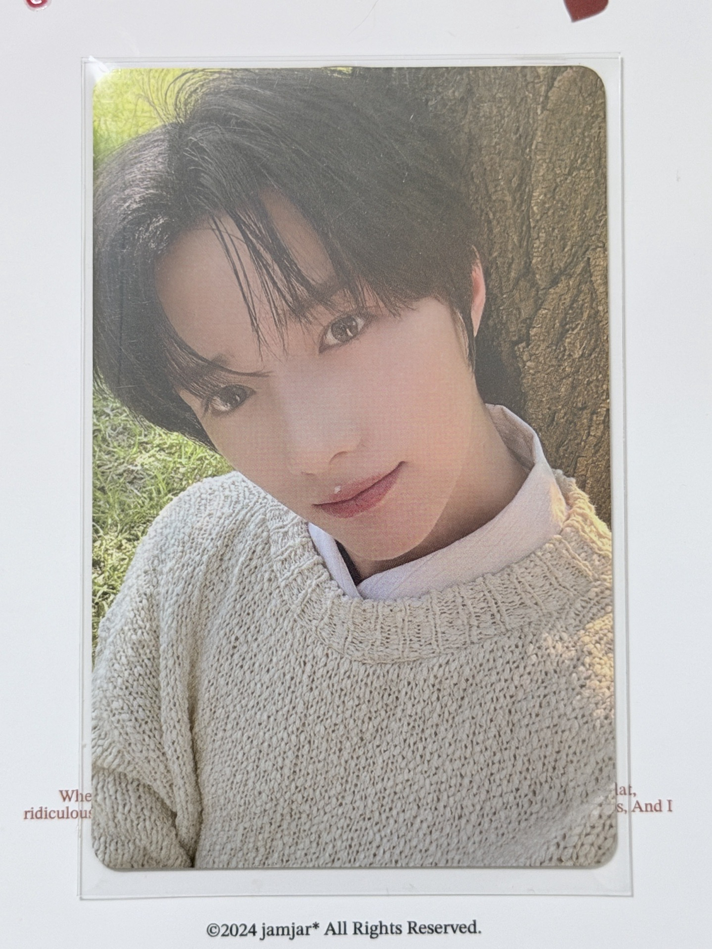 (現貨 一日內寄出）TXT Moa粽 崔杋圭 日巡 zone卡