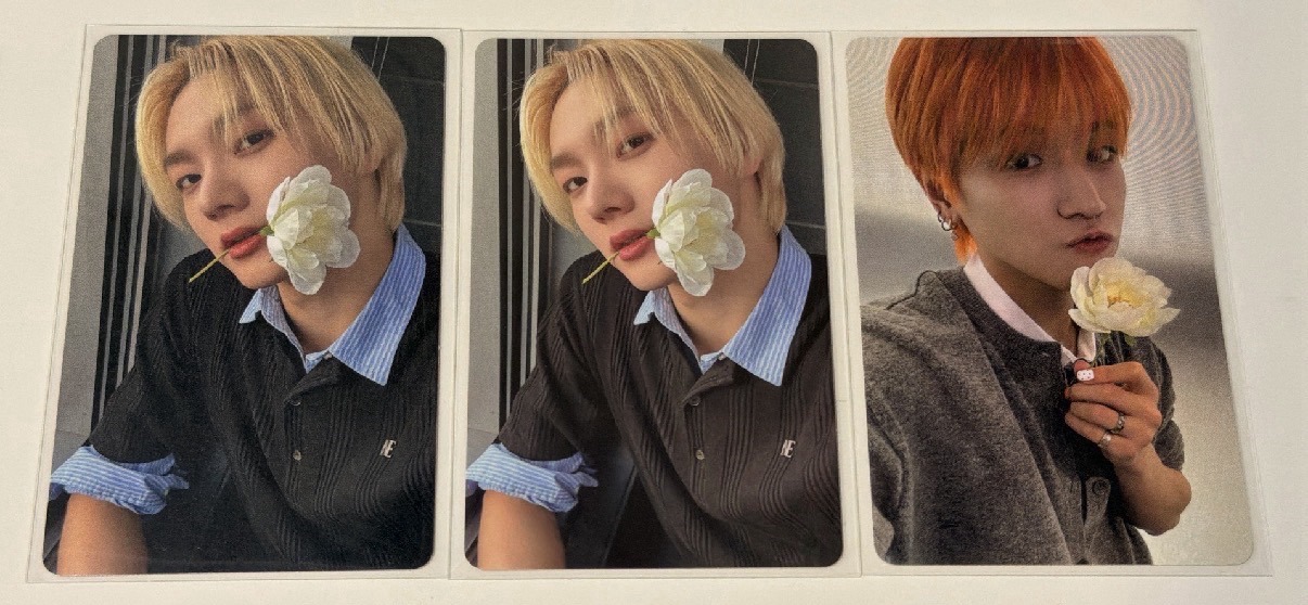 王子們拿花花來了