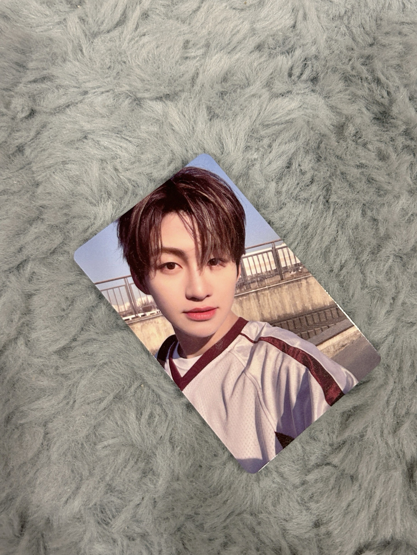 🍞｜志薰環球單封特典