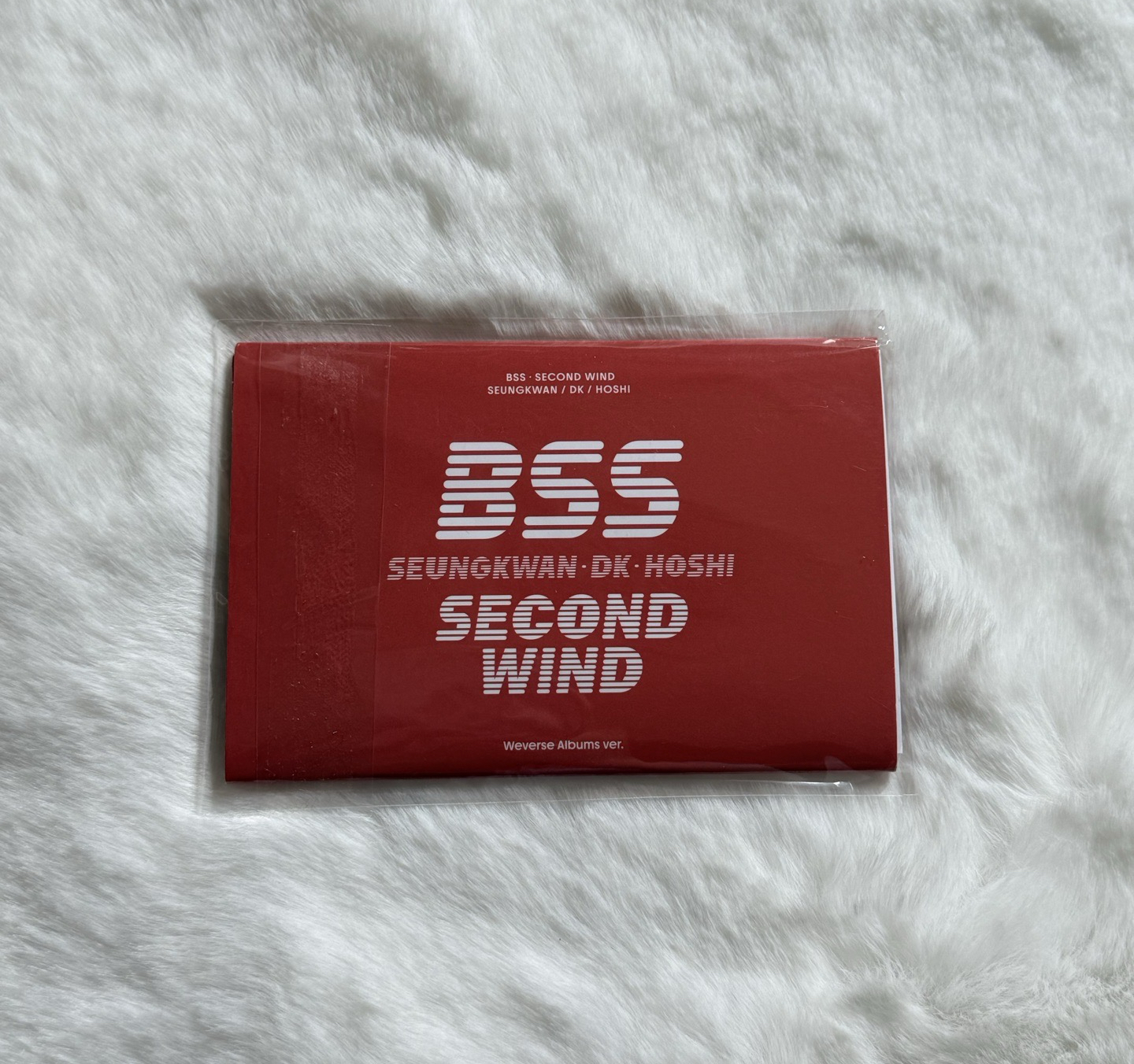 BSS Second Wind 夫碩順電子專（榮）