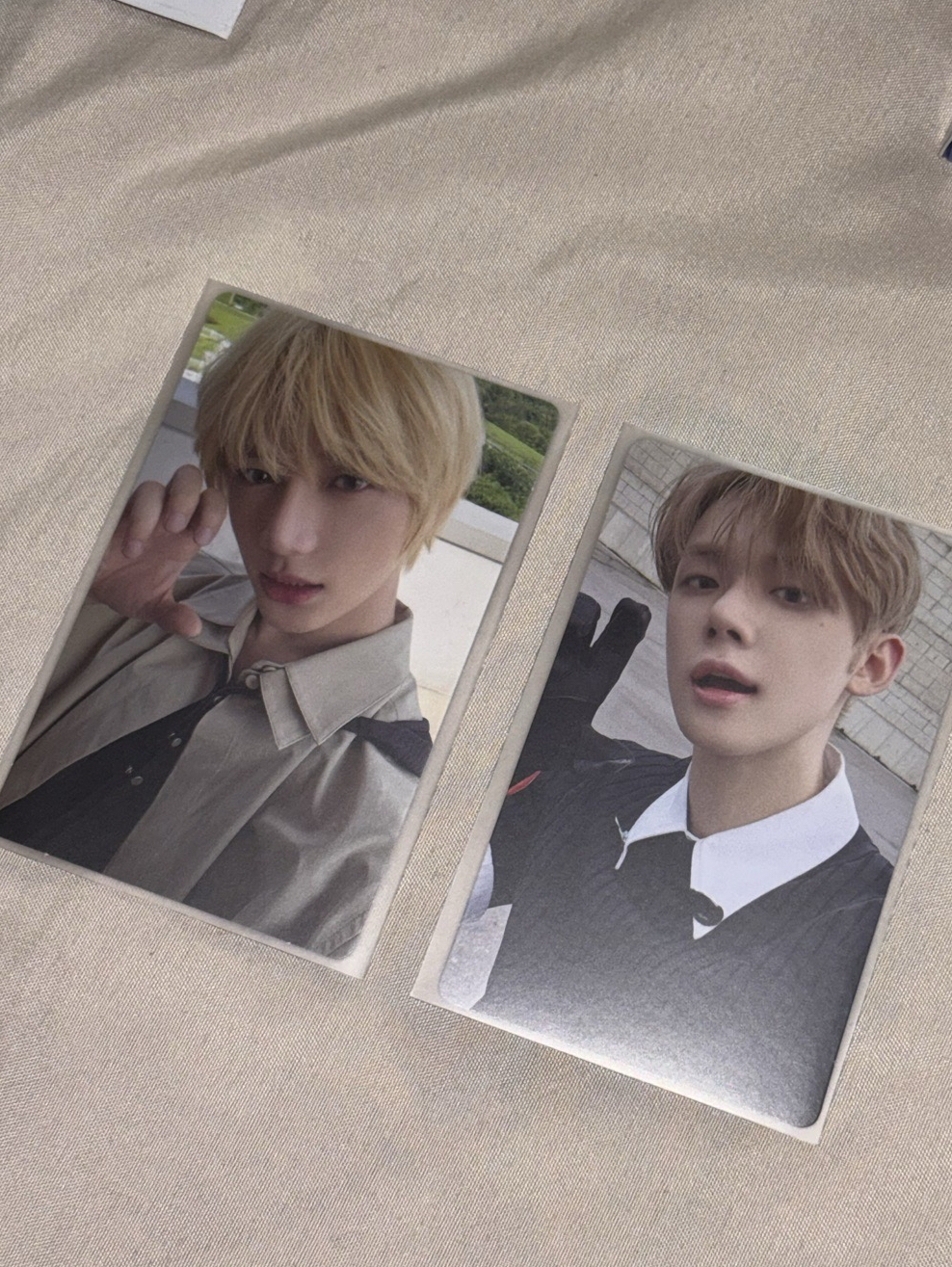 迷七 wvs PB版 特典卡  貓爪