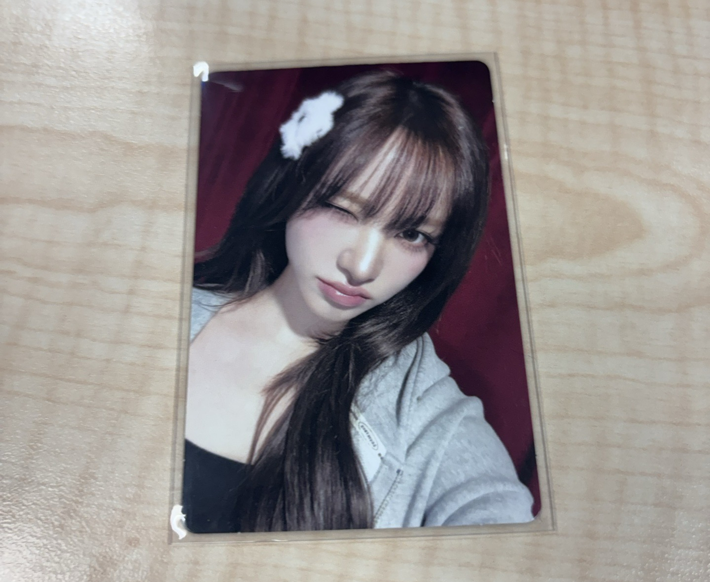 26'FC wm 5.0 幸運卡 栗