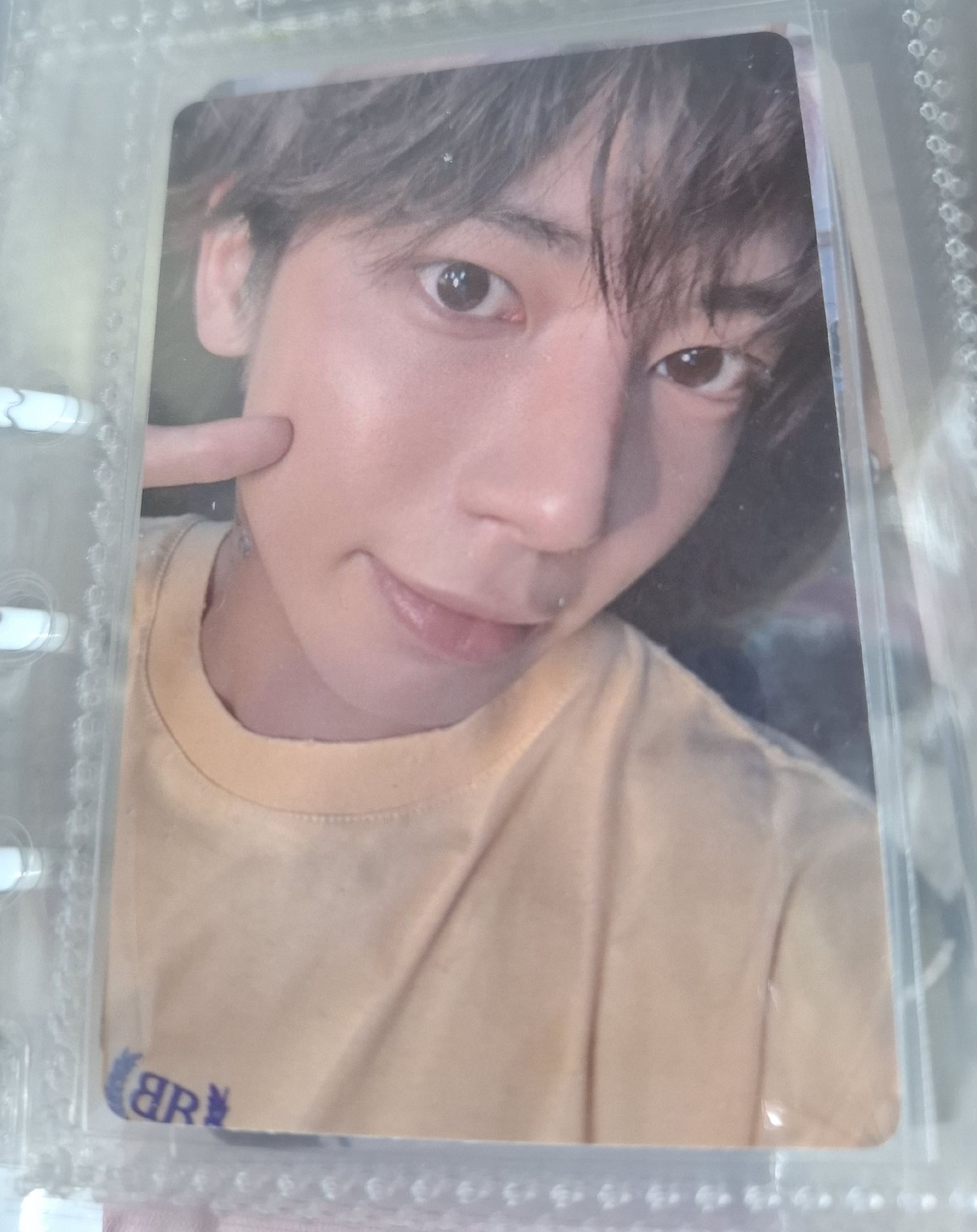 太顯 你要帶我結束我的流浪生活嗎喵嗚