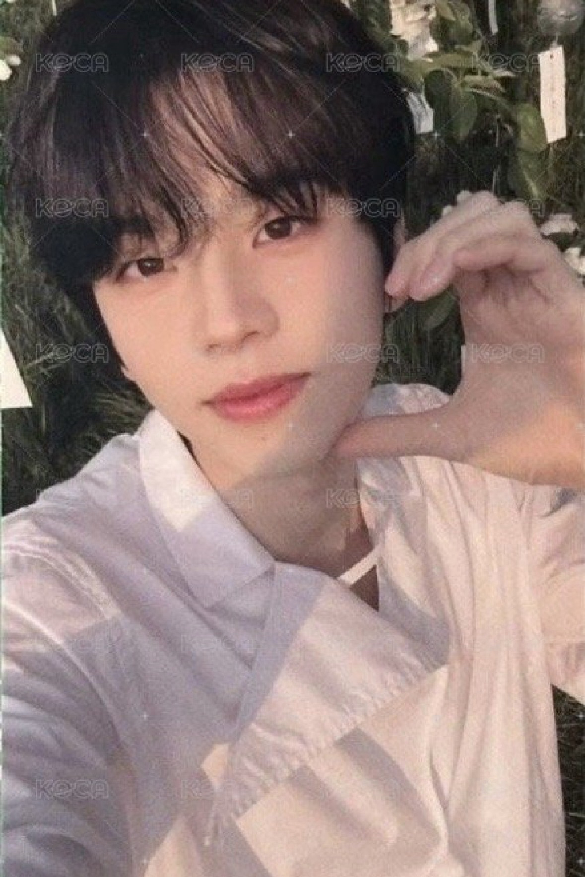 一直娛清溯 申惟