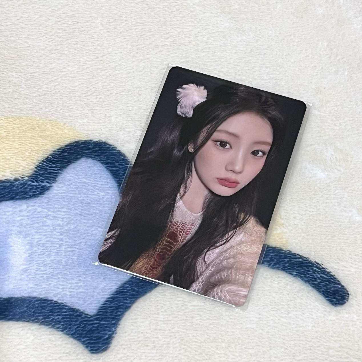 NOT CUTE來日紀念 日咖禧