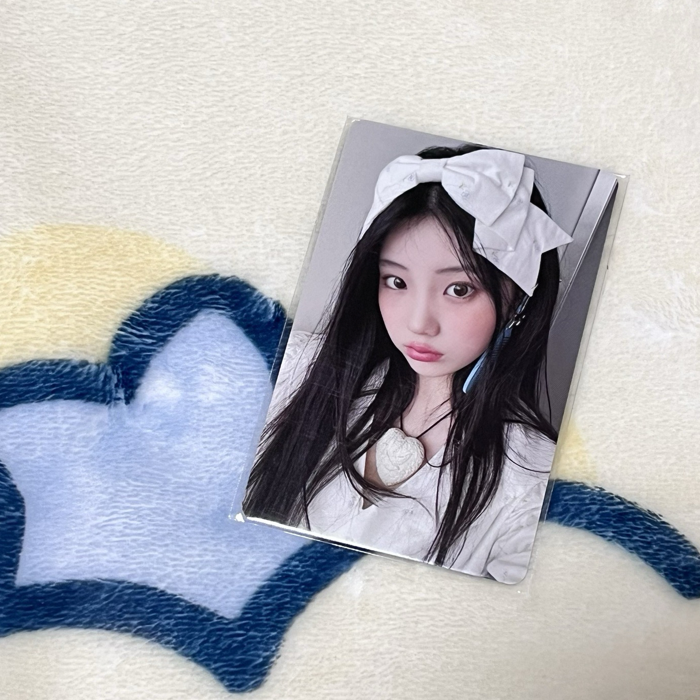 NOT CUTE日咖預售 禧