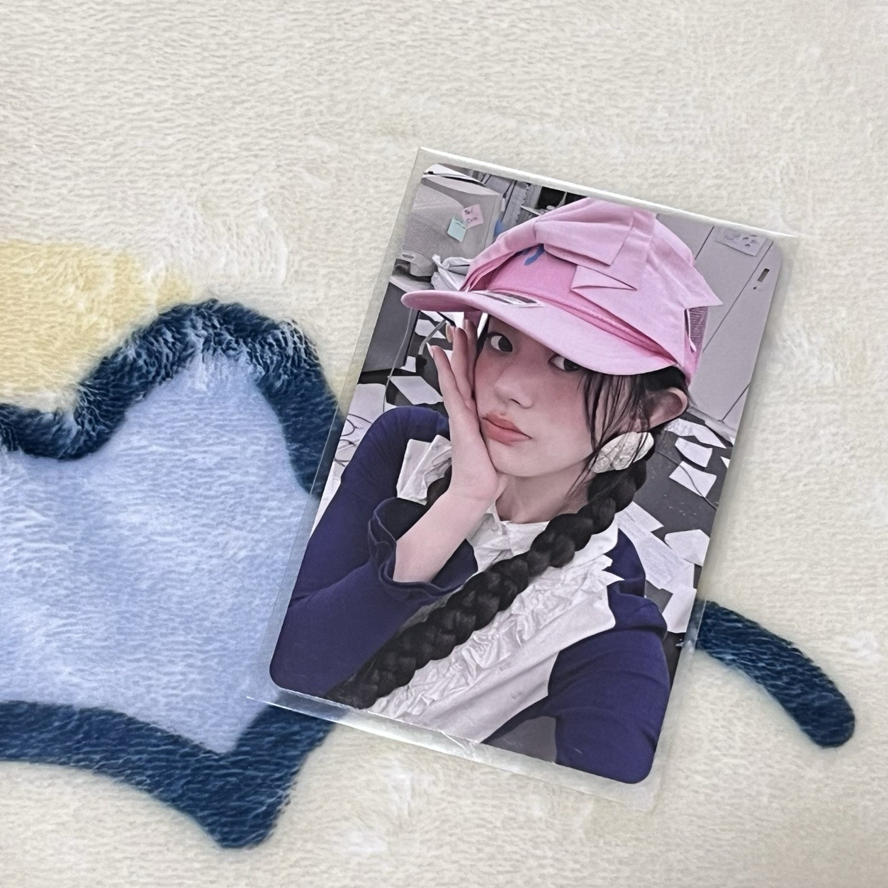 NOT CUTE日咖預售 慜