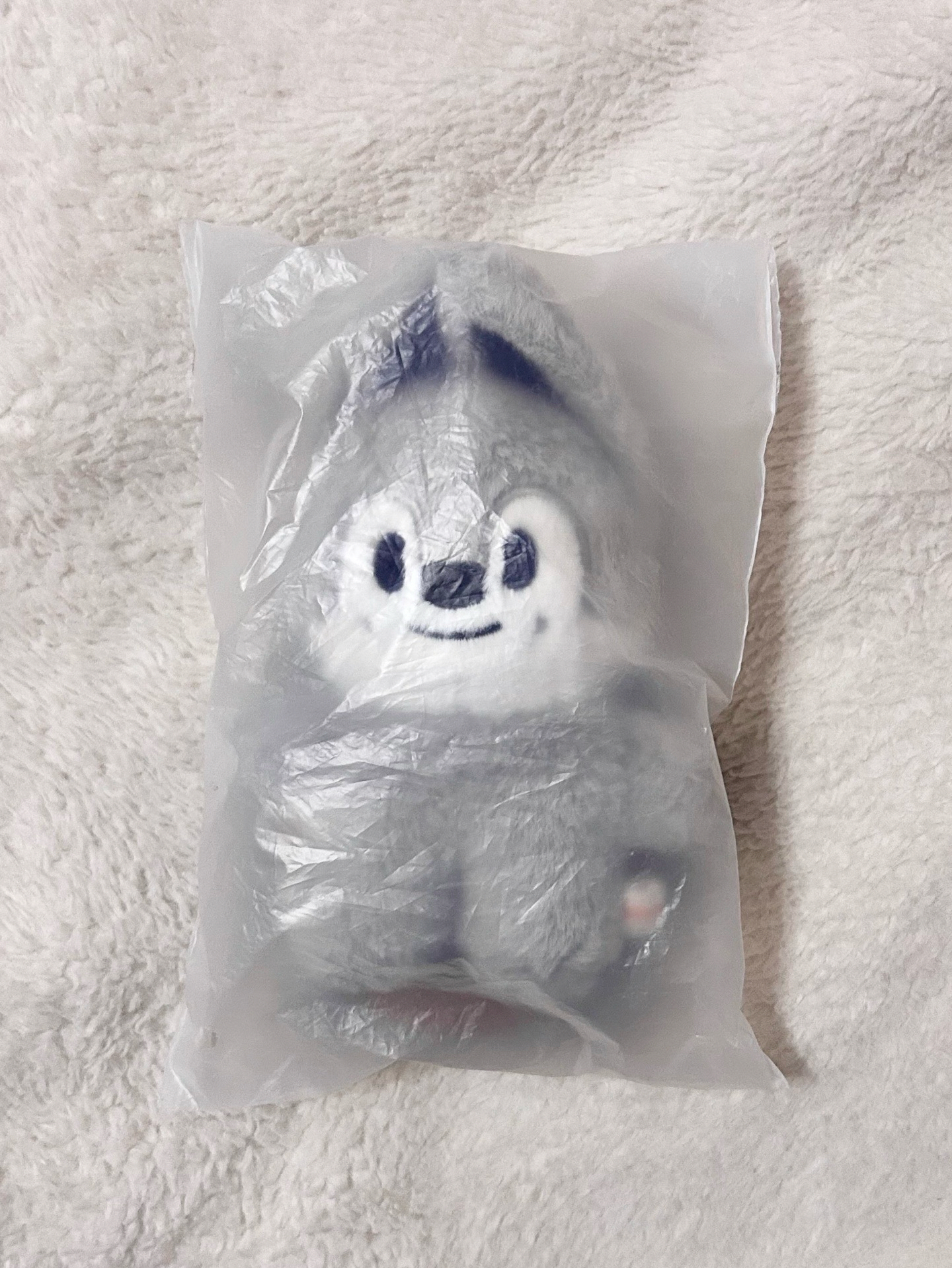 燦站姿娃 全新未拆