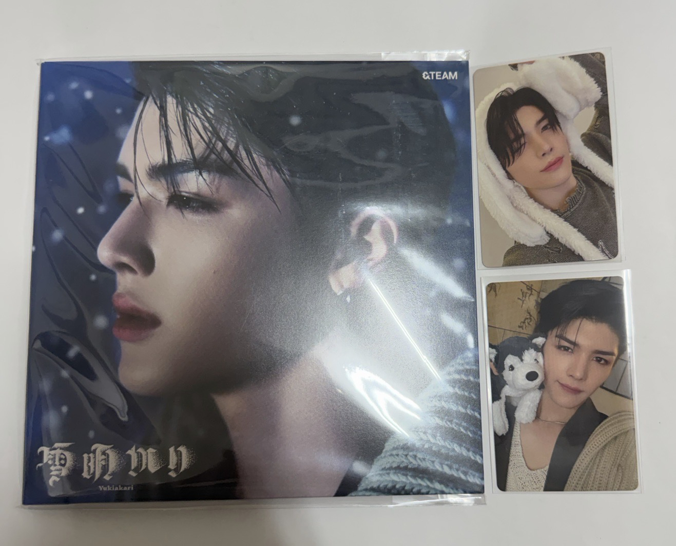 快帶黃金獵犬回家養