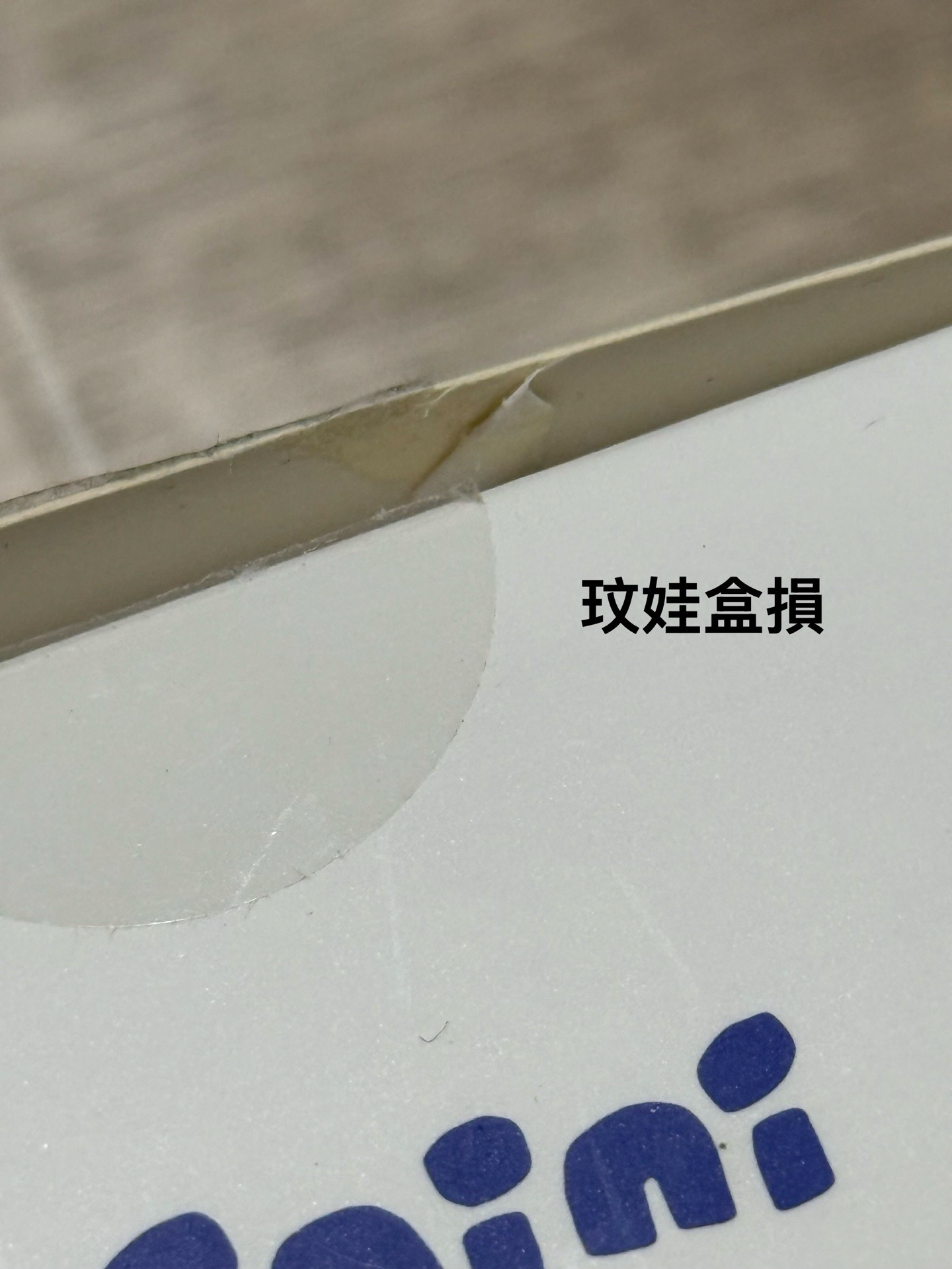 玟哈貓 變裝娃 bunini 