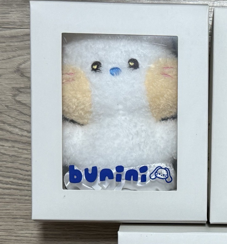 貓bunini