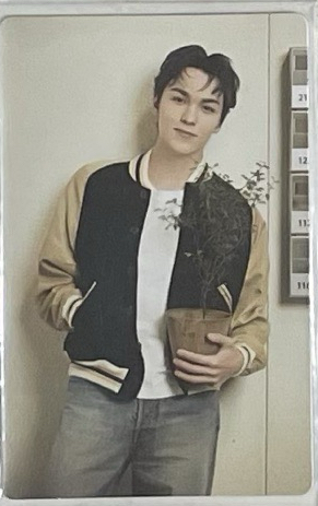 2024克拉島隨機卡(拿盆栽)