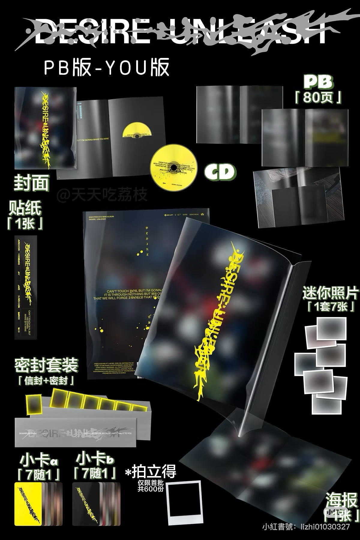 迷六 專輯 一套 無小卡 送特典別針