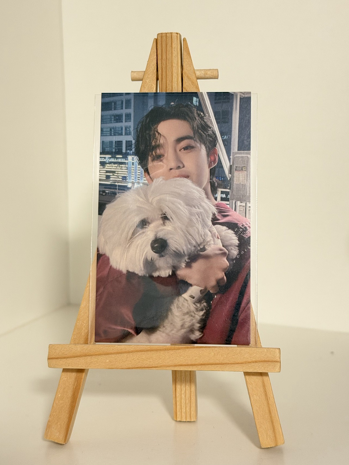 崔不發音勝哲(喆)與紅薯🍒🍠