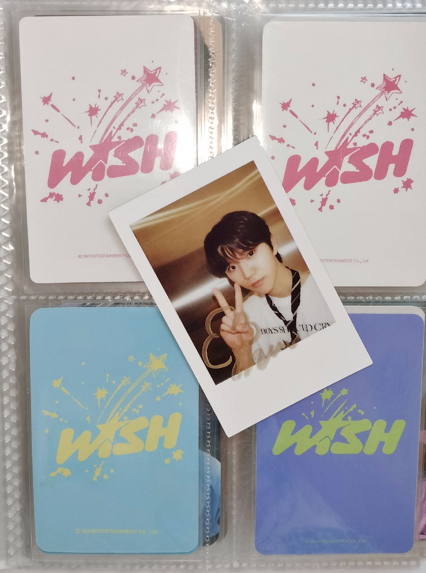 🌳樹 ？我是你的小狗🐾~