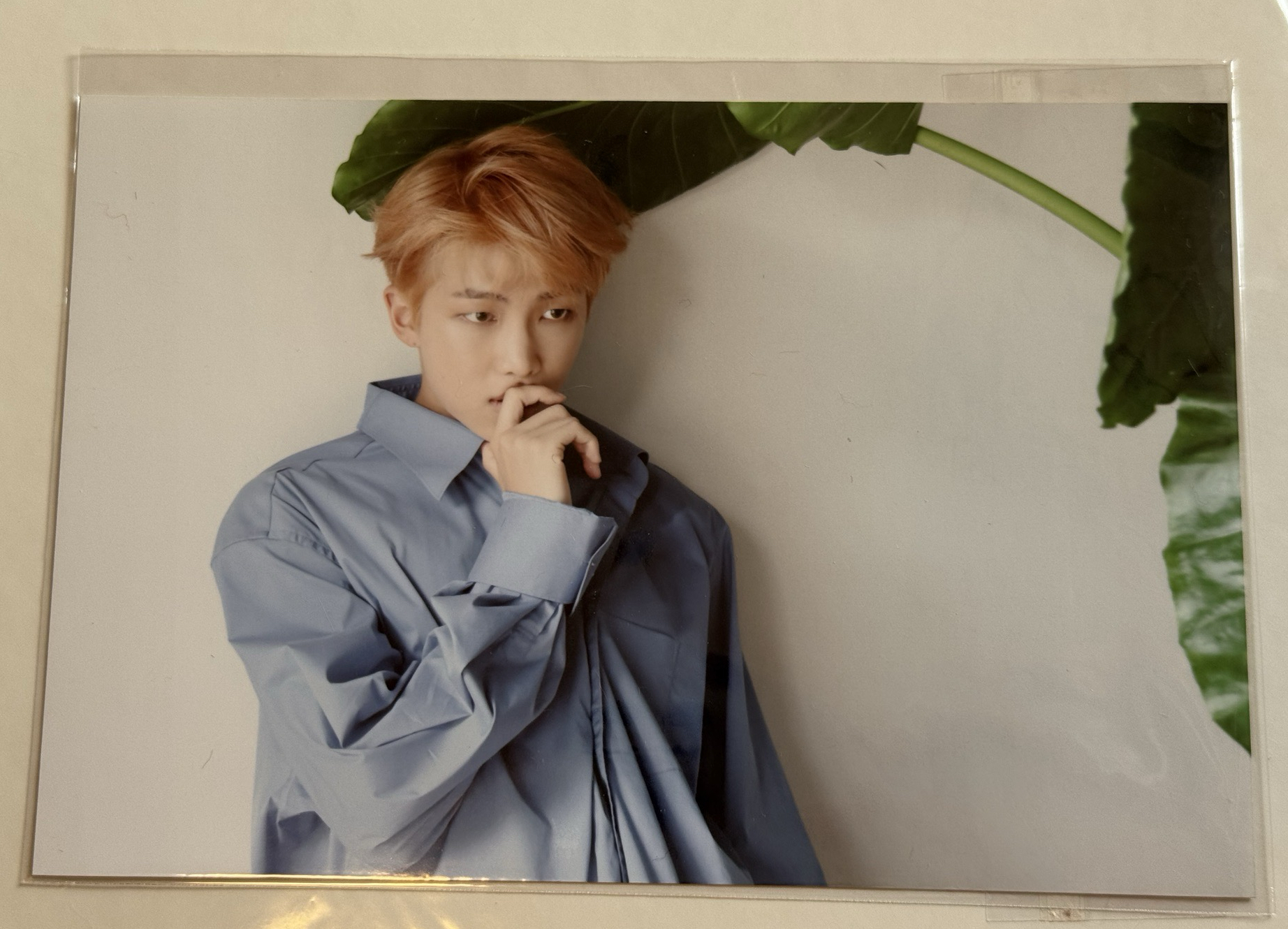 今日展 S1 生寫真 RM 整套