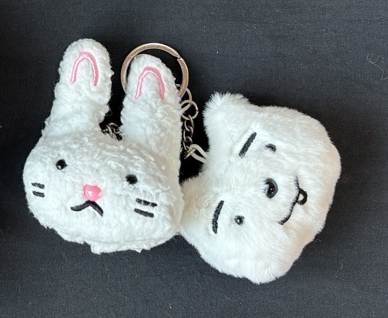 崔秀彬生日禮 兔子狗