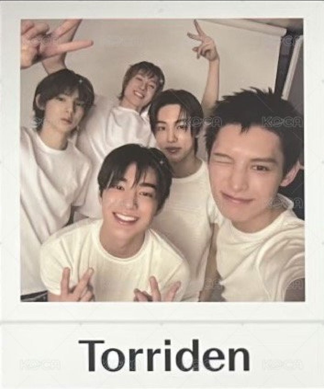 Torriden oy 代言卡 