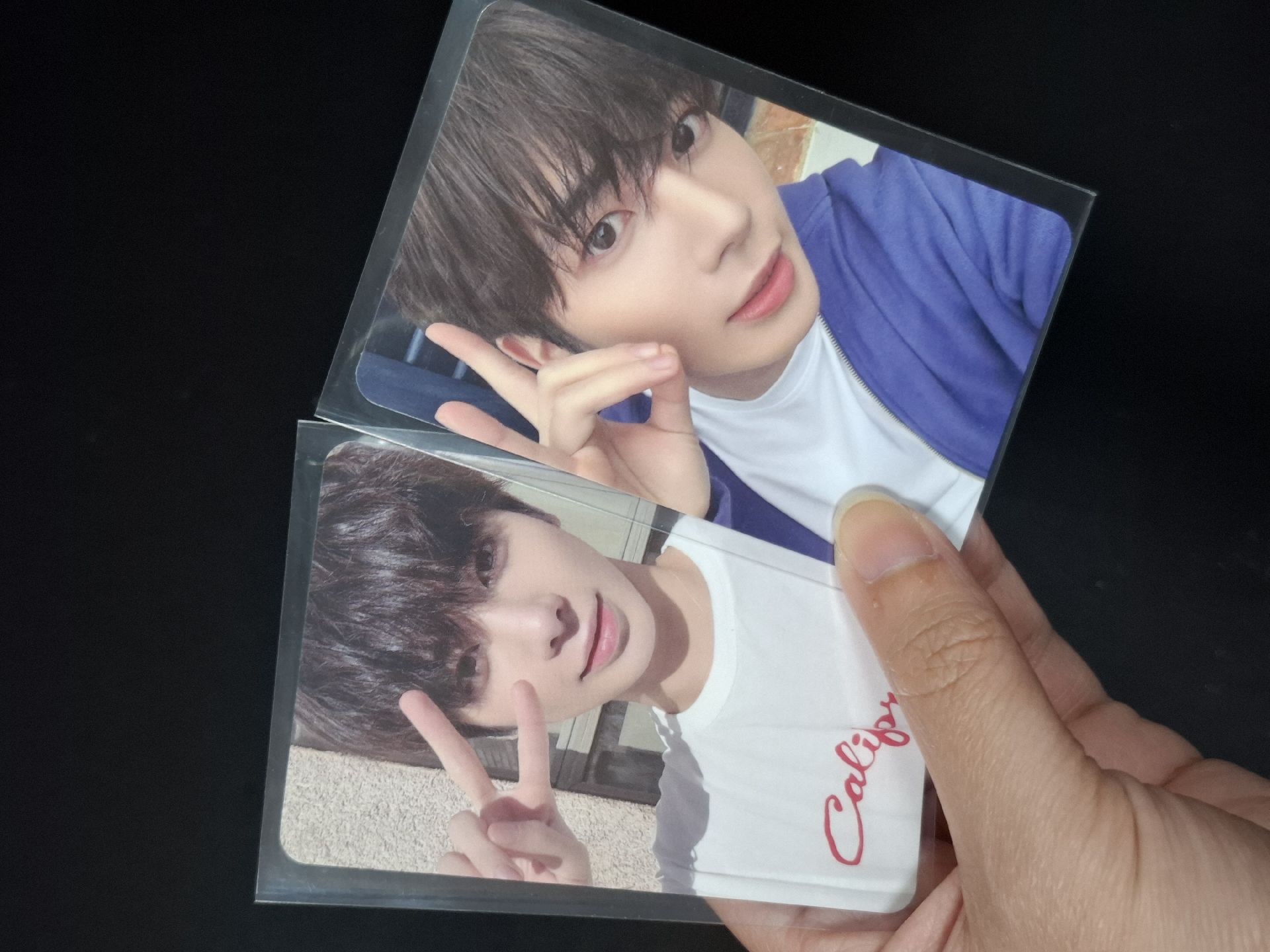 愛語專卡咪🐈‍⬛