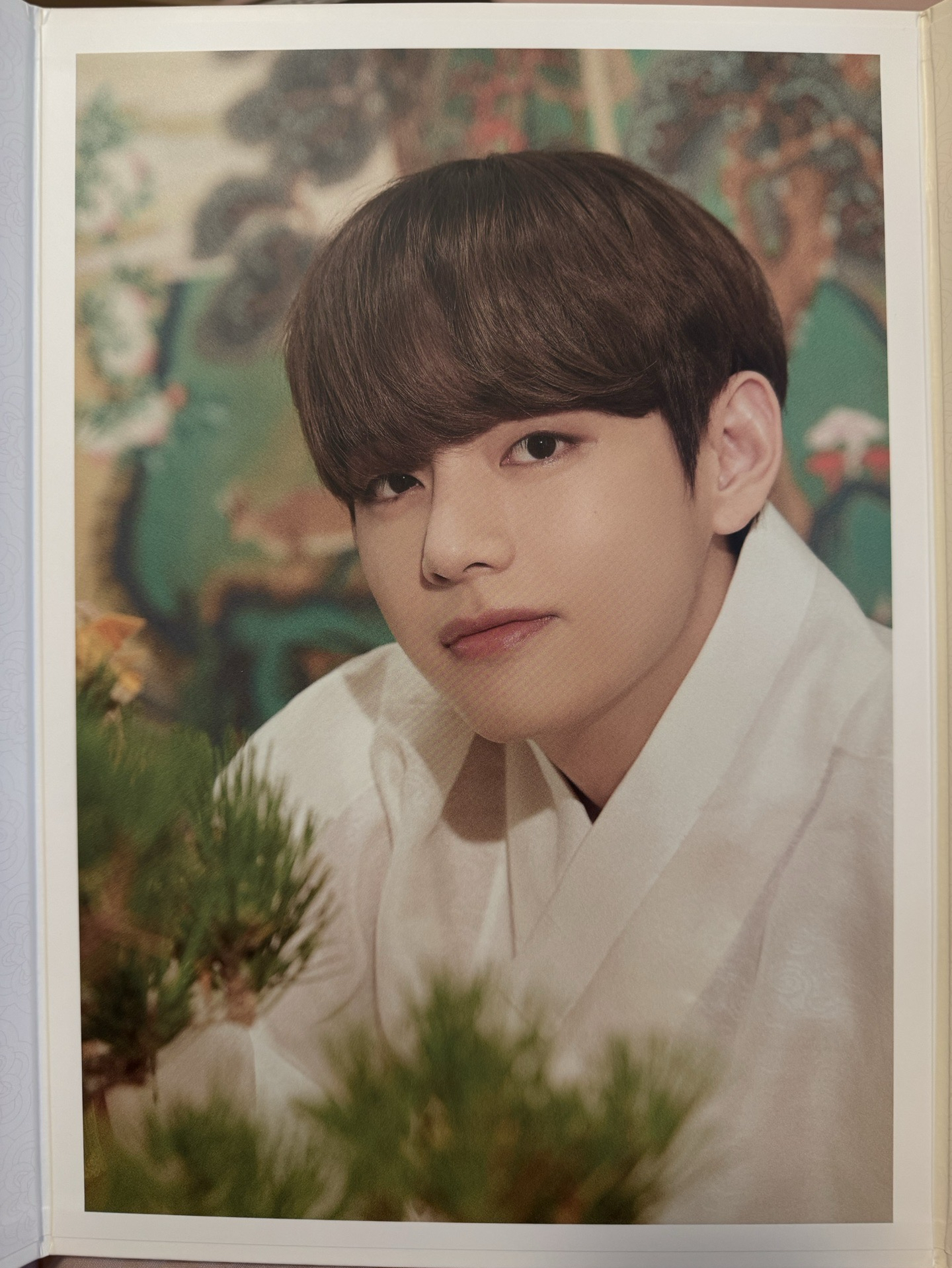 2021中秋 照片組 折疊 日版 泰亨