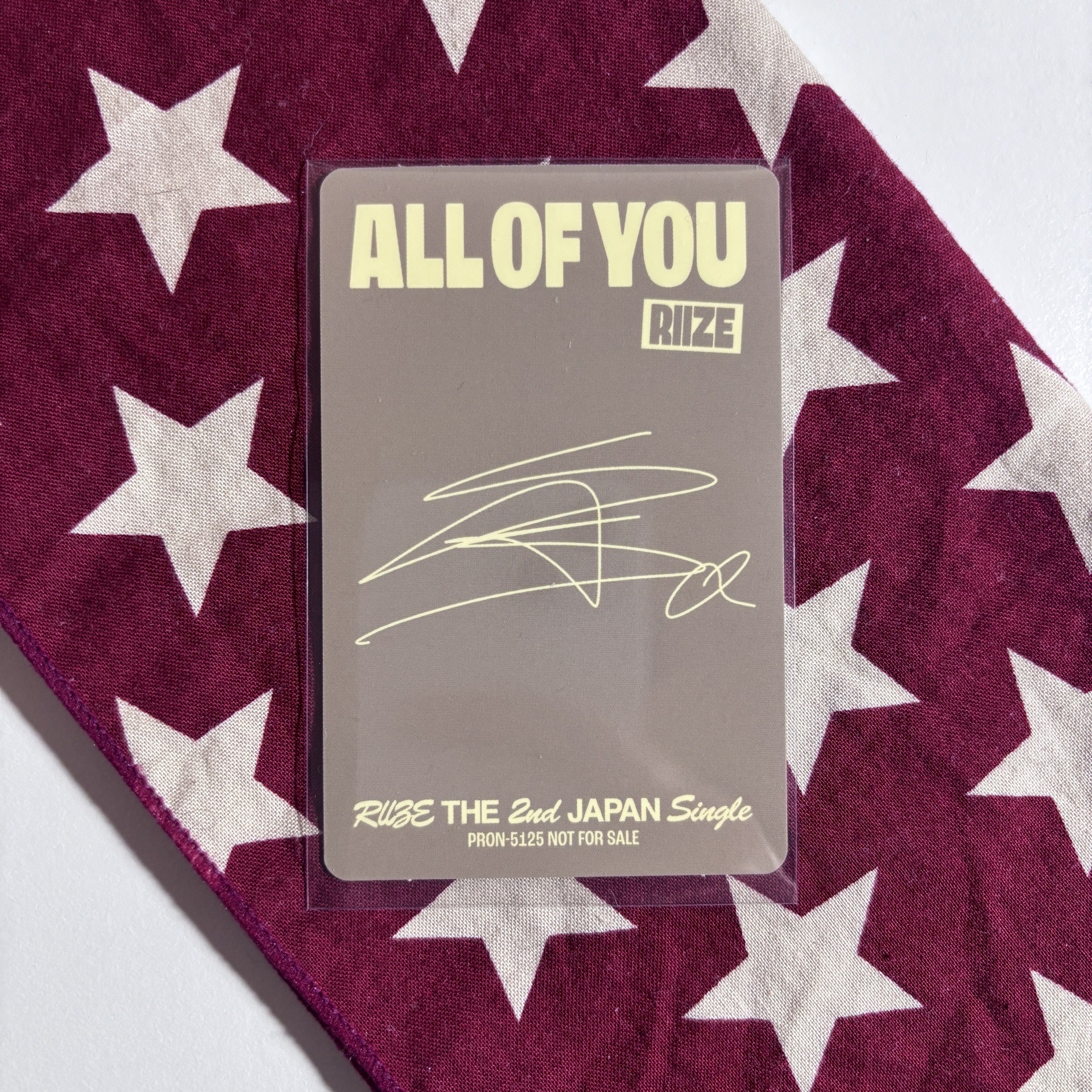  ﾟ𖤐.⋆﻿All of you 東蛋版專卡 醬 ⋆.˚⊹