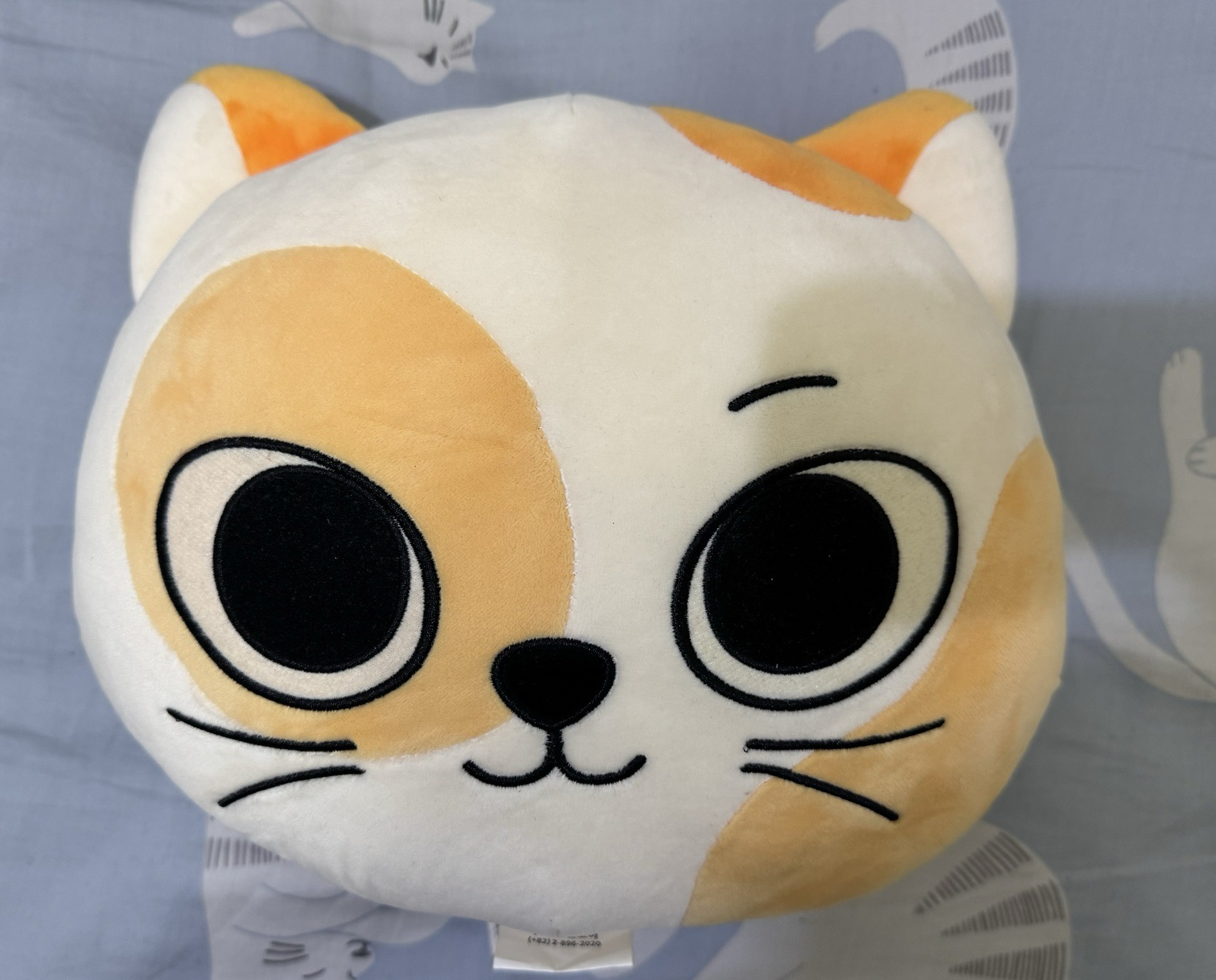 貓比抱枕 CATBBI 閱讀商品說明再下單～