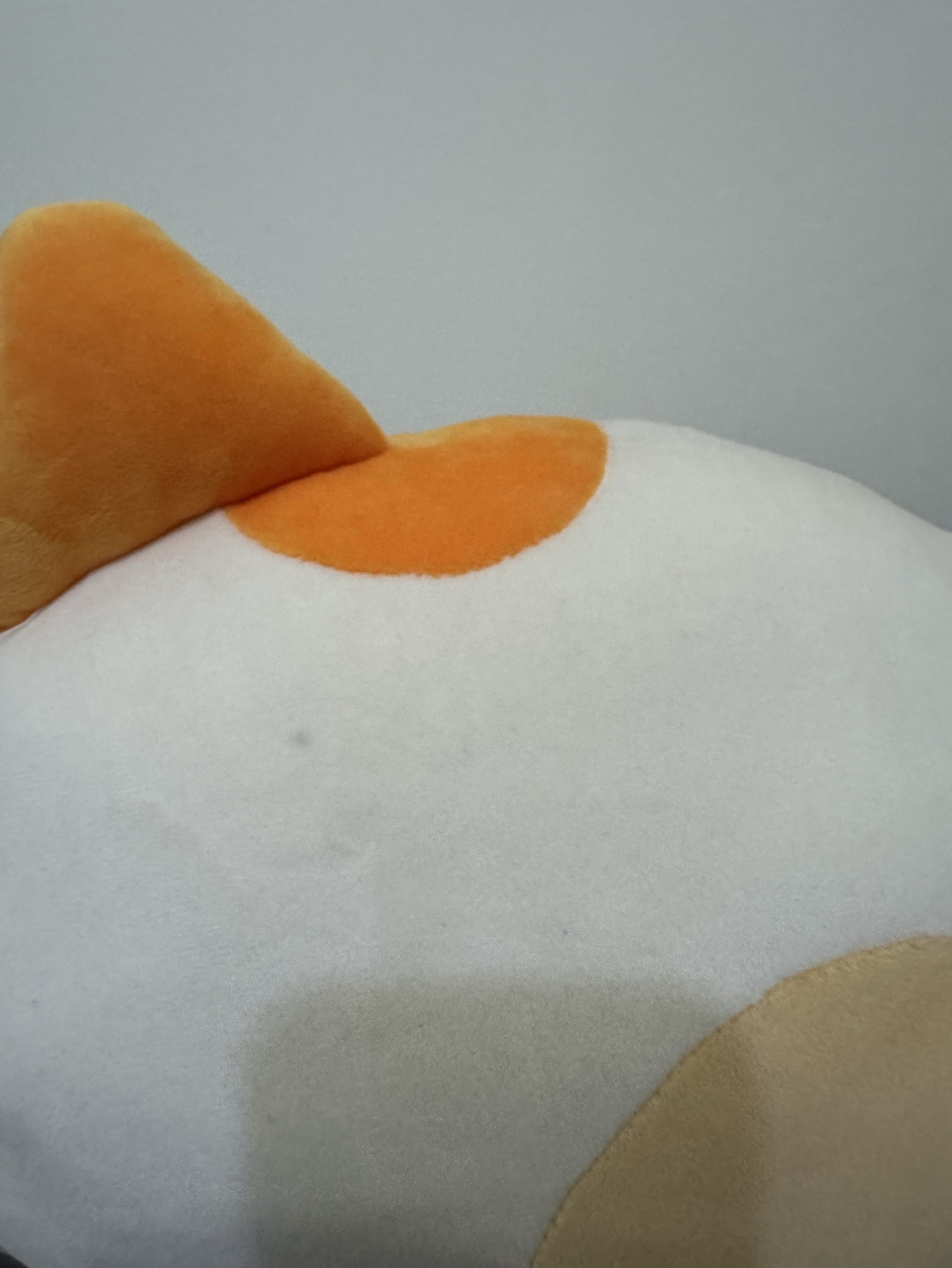 貓比抱枕 CATBBI 閱讀商品說明再下單～