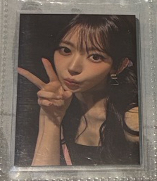 韓安入場卡櫻花