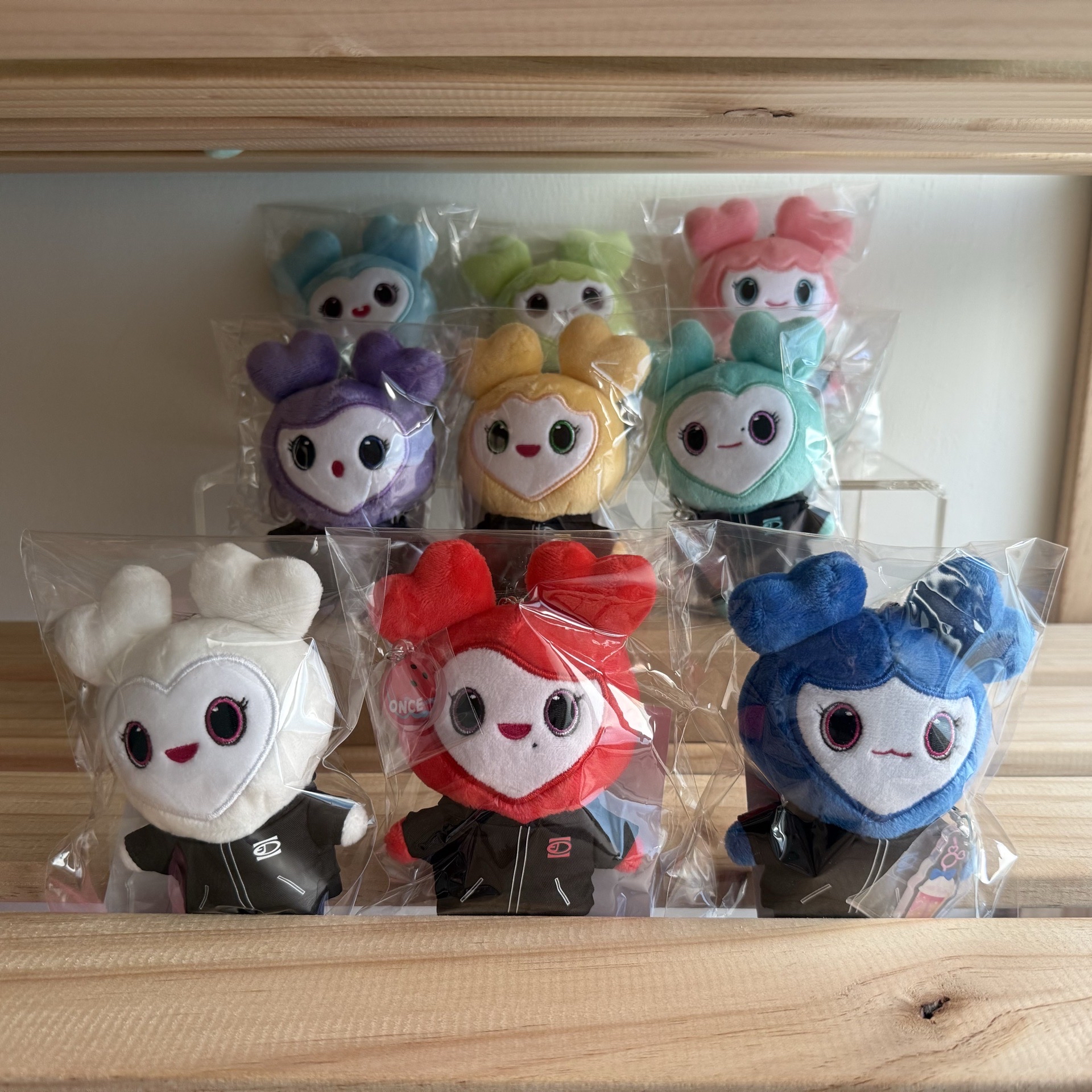 【現貨速出】TWICE 新國立 吊飾 娃娃