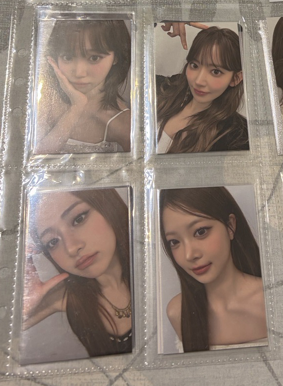 LSF 台北入場卡 采櫻允葉採