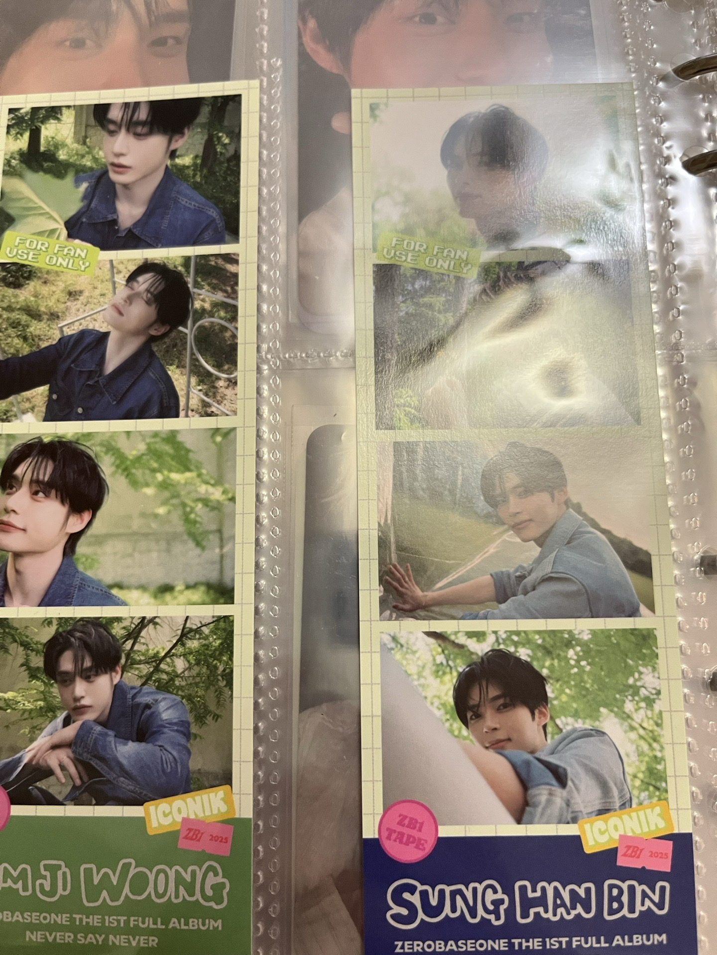 正規一人生四格