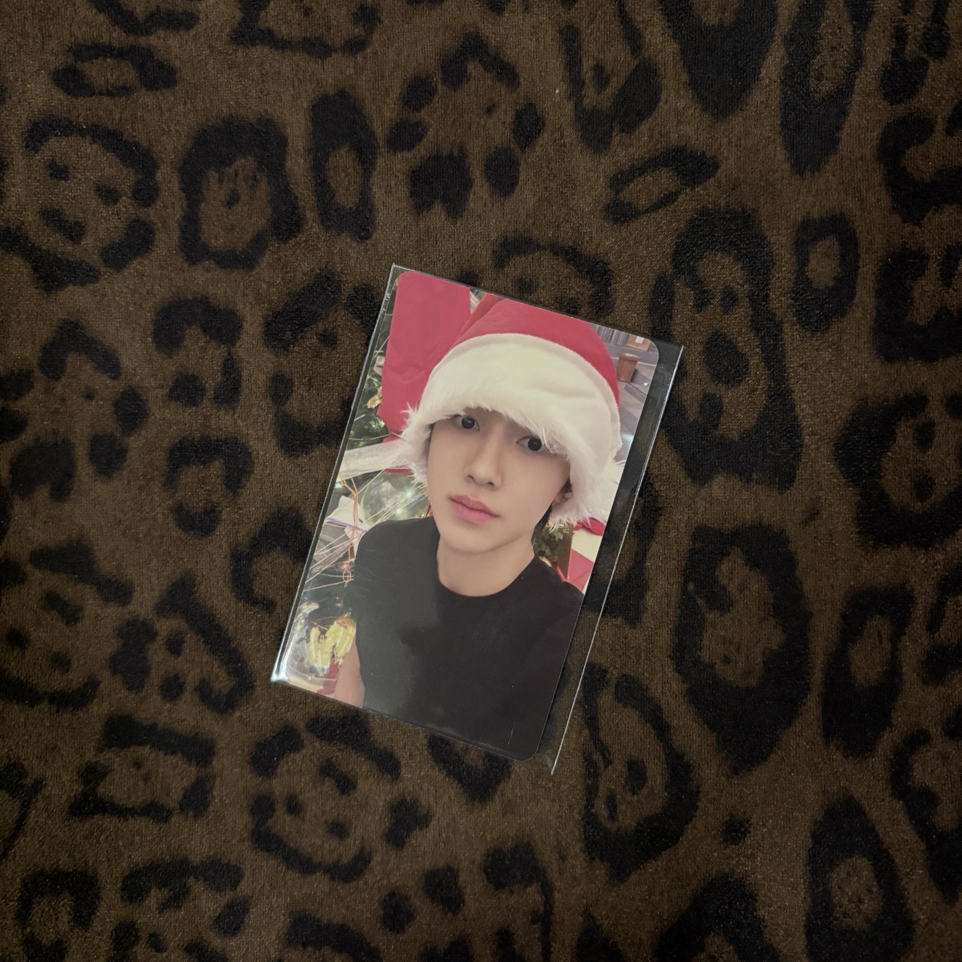 迷一 k4 特典卡 2025年末禮