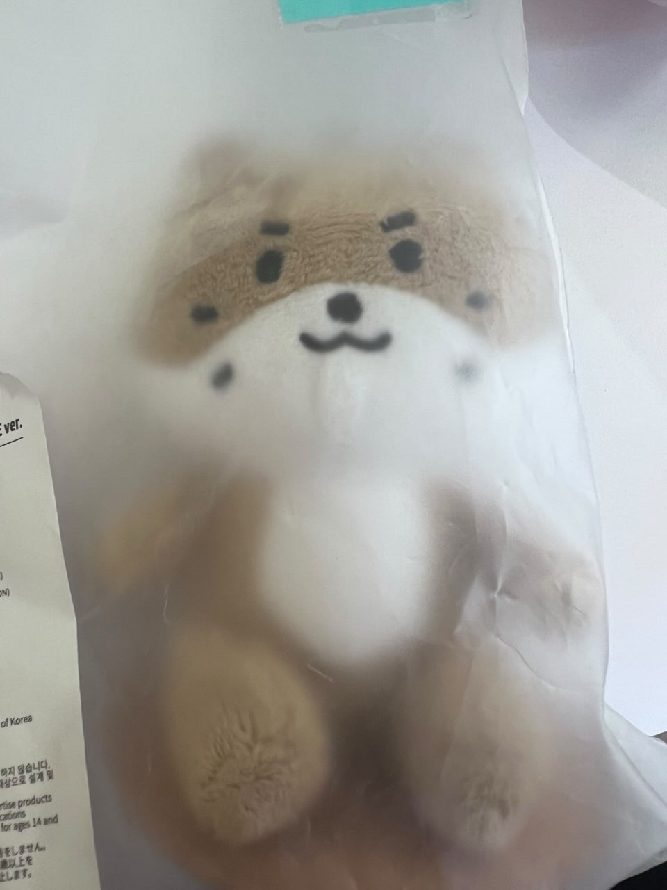 💎SEVENTEEN MINITEEN坐娃