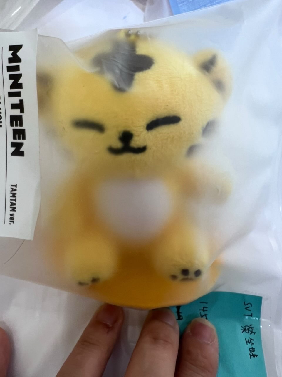 💎SEVENTEEN MINITEEN坐娃