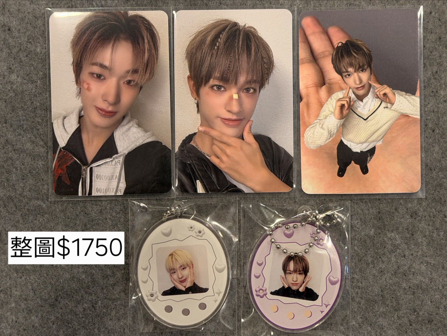 AM LD 🐧🐾🦌🦦