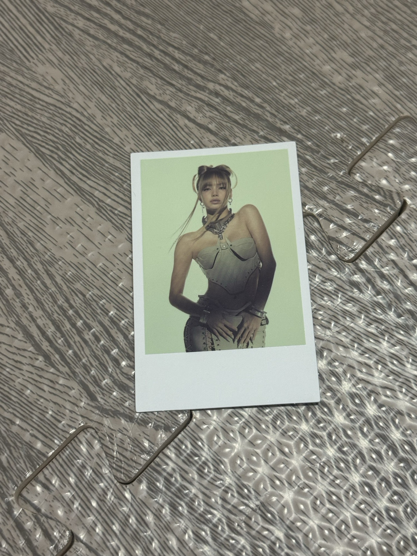 WVS官拍拍立得  莎