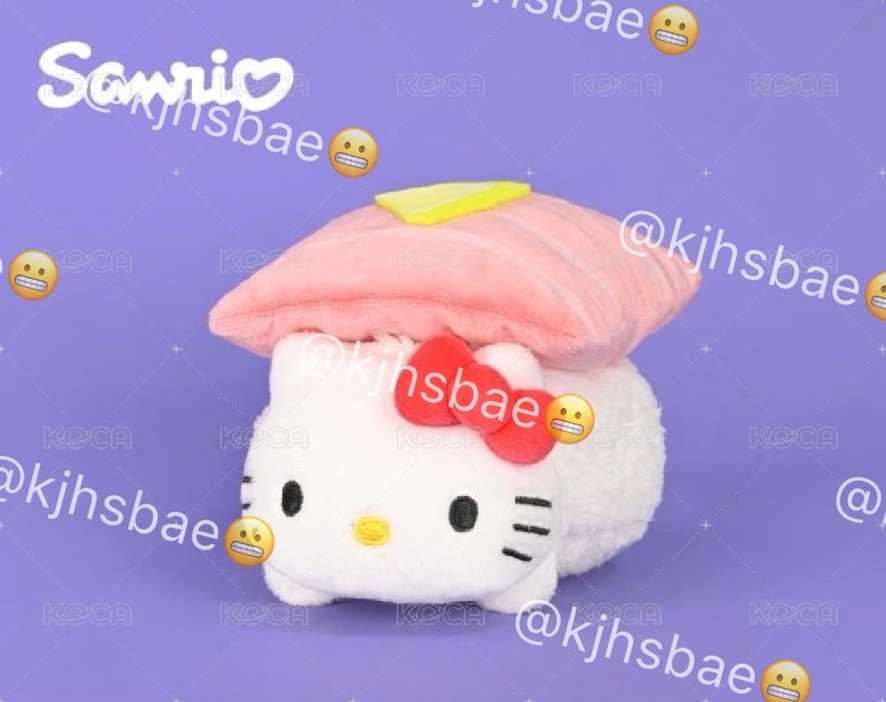 壽司凱蒂 全新 吊牌還在 沒帶出門過