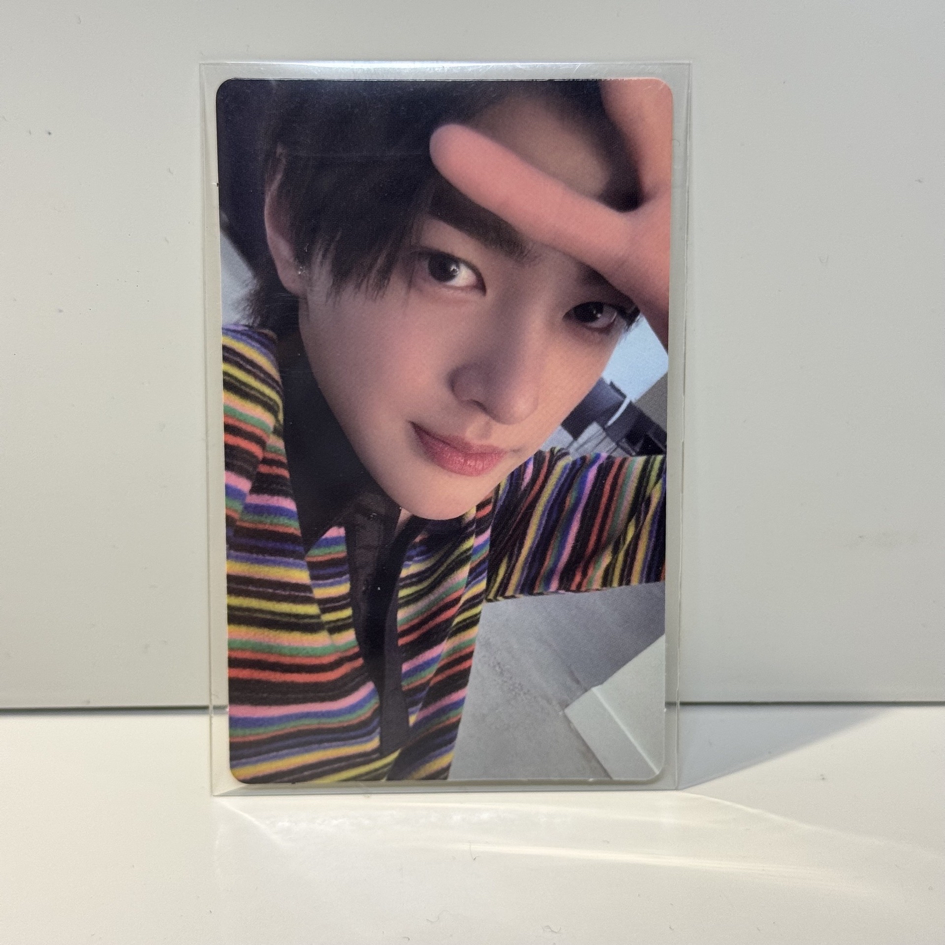 wvs預售 鎬 現貨