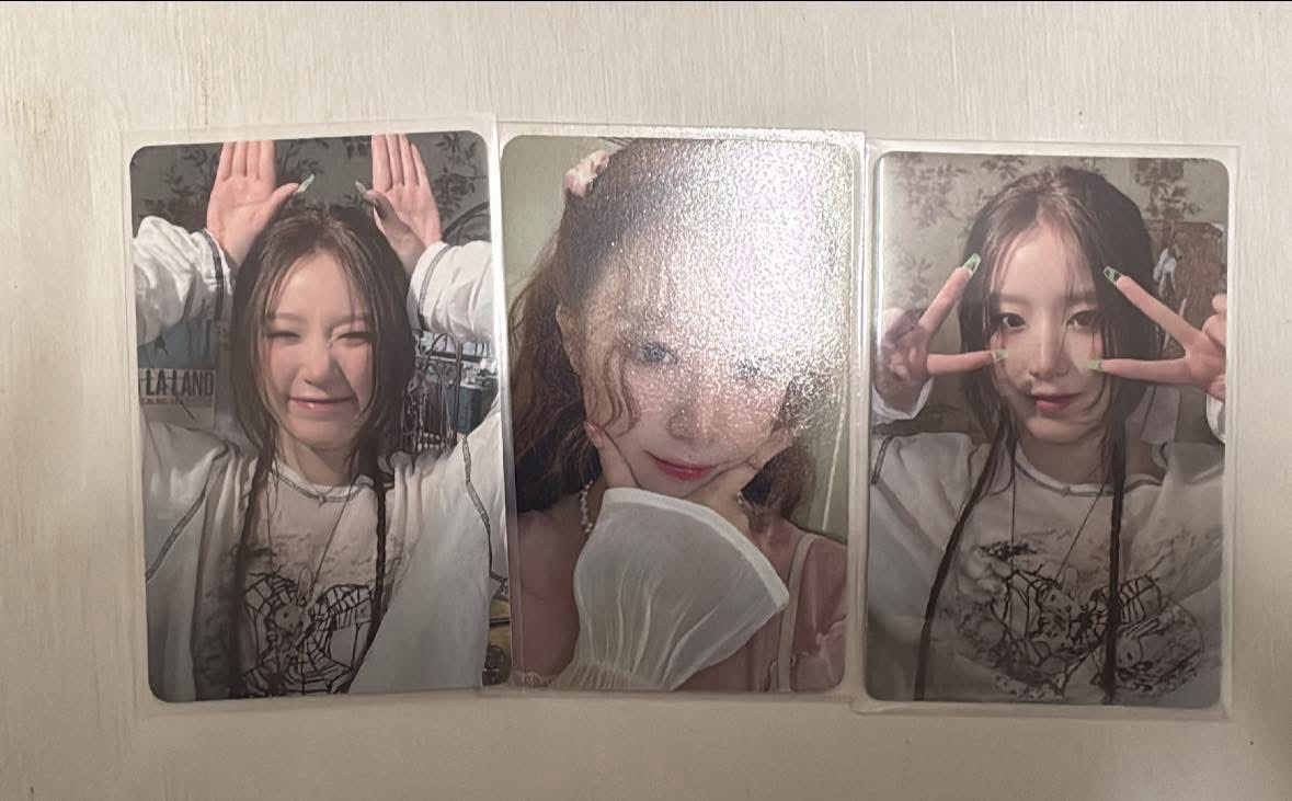 兔耳刷 國際刷 年曆刷