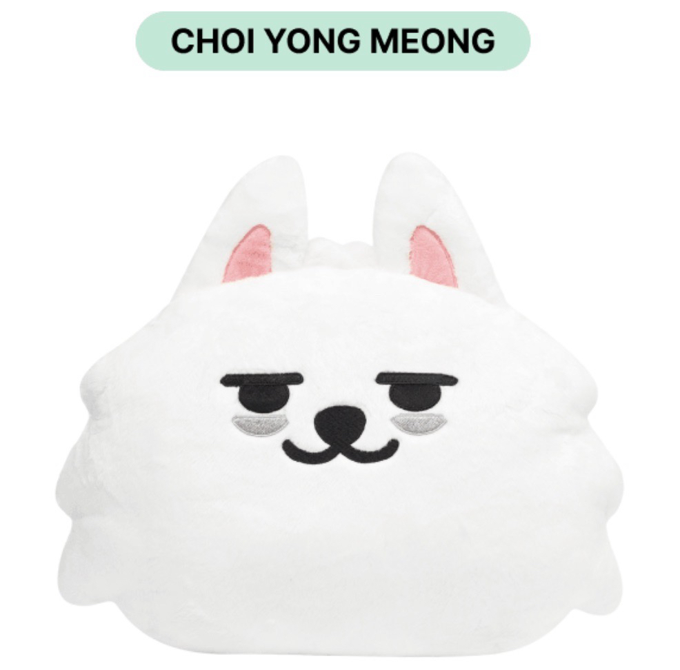 （現貨）勇猛抱枕 全新未拆