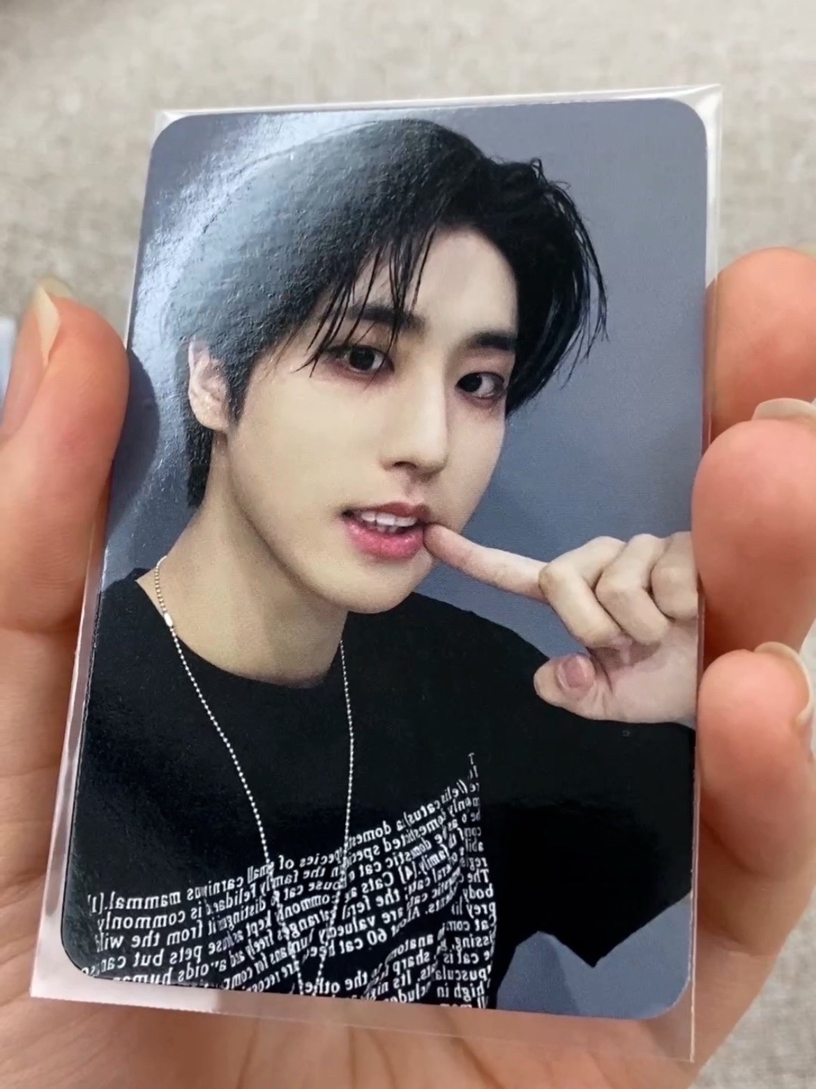 我要假裝是倉鼠 中背城 樂-STAR 特典卡 