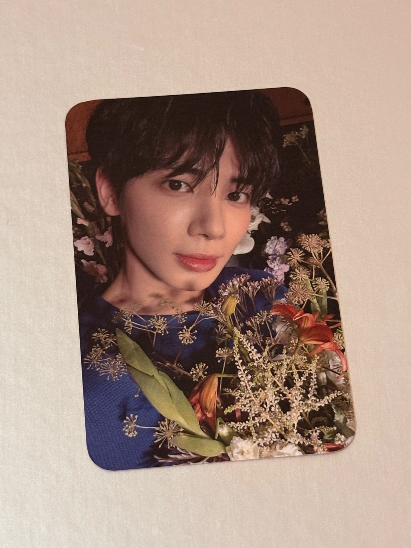 姜太顯 迷七 中文卡背