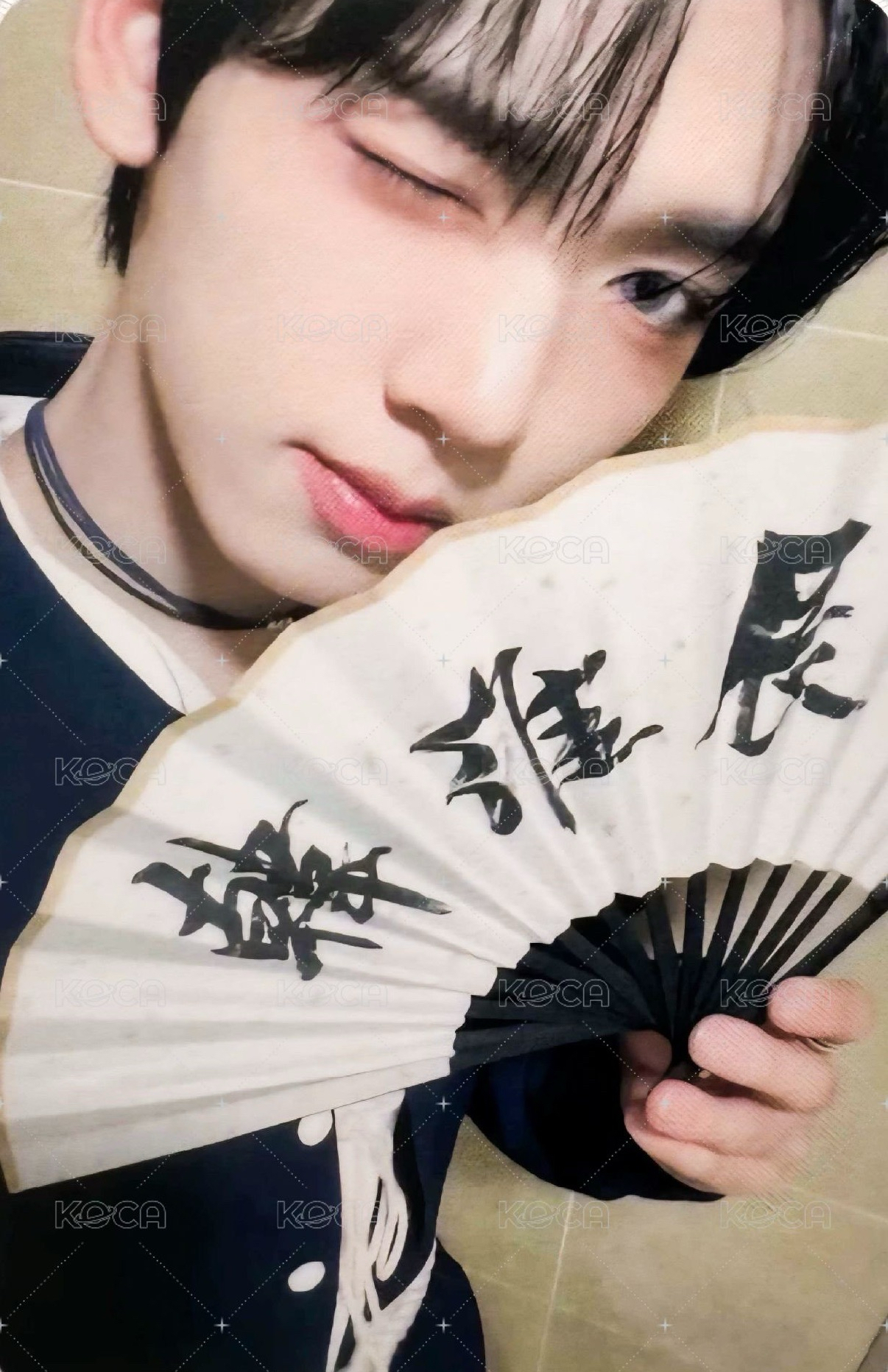 姓名摺扇辰 中背