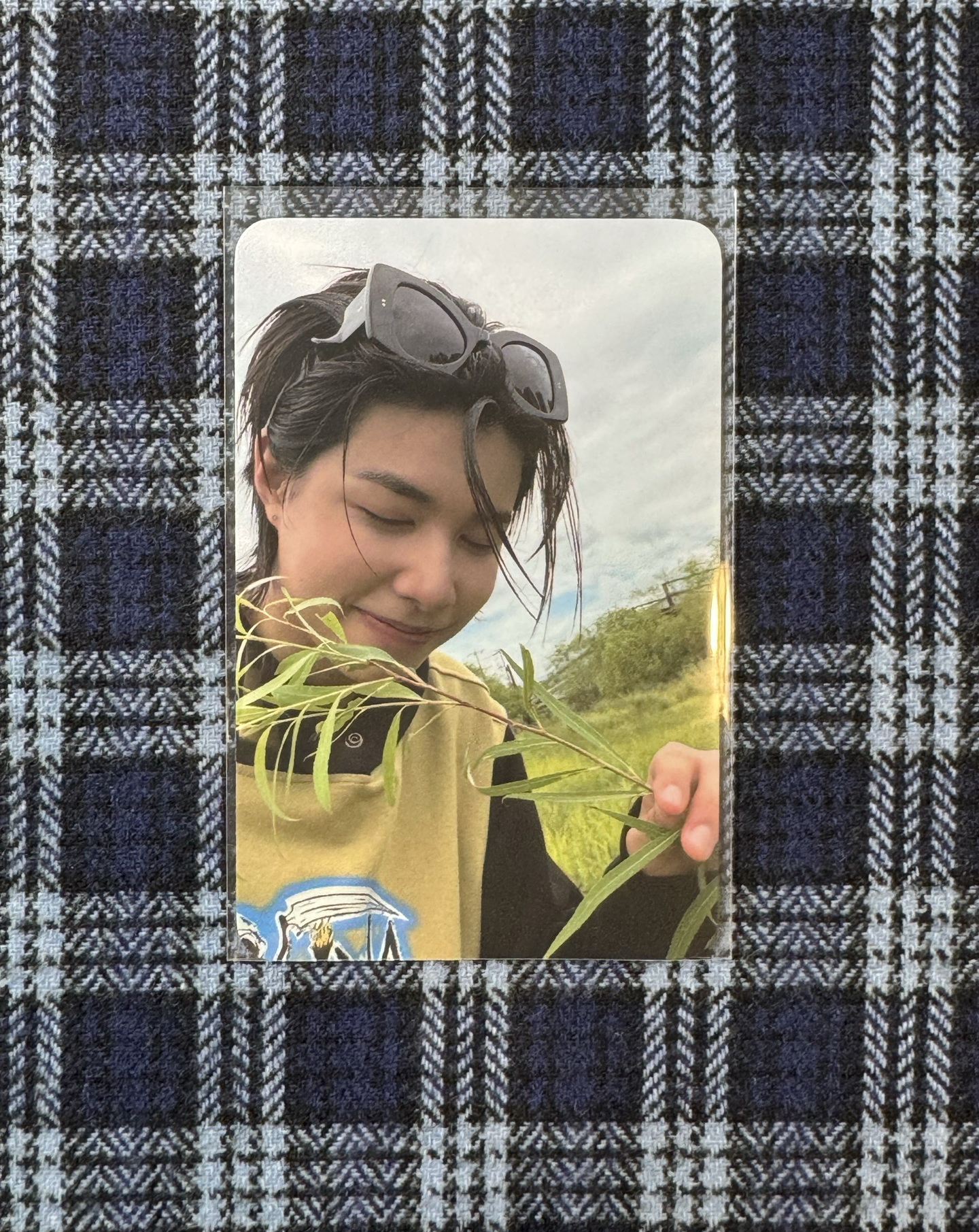 🦞路易貼紙書小卡